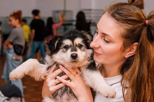 Гостомельский уголок
