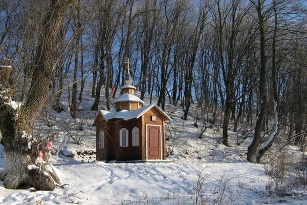 Калиновий гай в Яготині