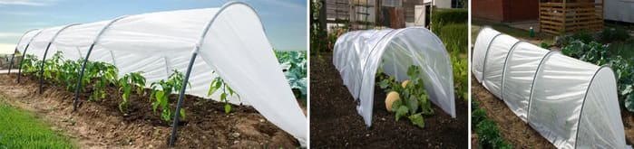 Парники та міні теплиці