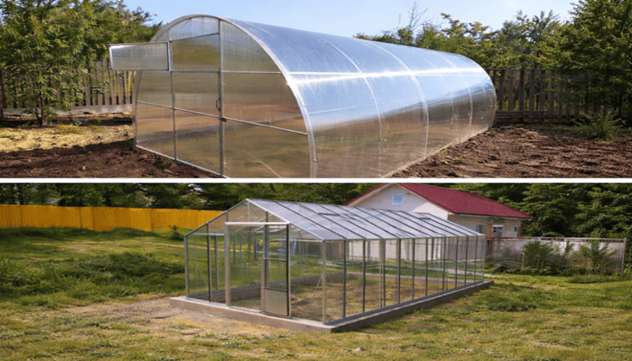 Стаціонарні vs мобільні теплиці